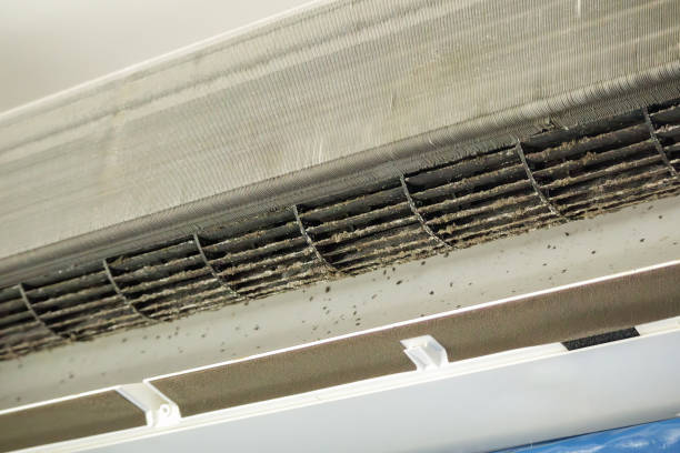 Best Air Duct Cleaning Company Near Me  in Casa Grande, AZ